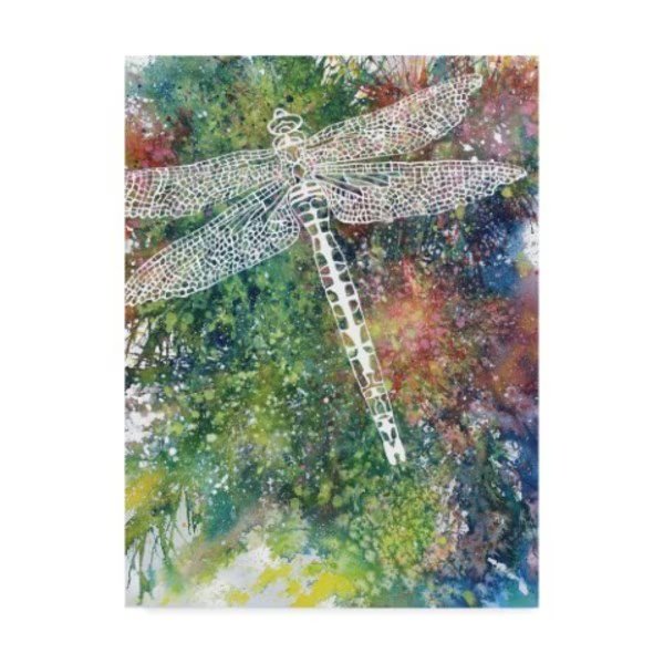 Michelle Faber 'Dragonfly 1' Canvas Art, 18x24, Trademark Fine Art, Mfr#: ALI43541-C1824GG